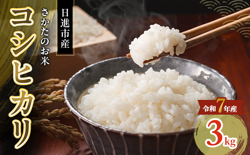 令和7年度産 コシヒカリ さかたのお米 日進市産 3kg お米 白米 ライス 精米 ご飯 おにぎり お弁当 和食 もっちり 粘り 強い 甘み 旨み
