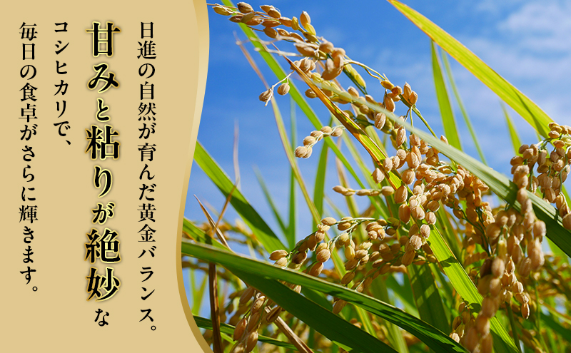 先行予約 令和8年度産 コシヒカリ さかたのお米 日進市産 3kg お米 白米 ライス 精米 ご飯 おにぎり お弁当 和食 もっちり 粘り 強い 甘み 旨み