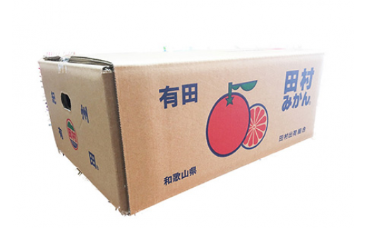 【先行予約】高級ブランド田村みかん ５kg◇ ｜ 蜜柑 柑橘 果物 フルーツ 糖度 甘い 濃厚 コク ジューシー 先行予約 国産 産地直送 人気 美浜町