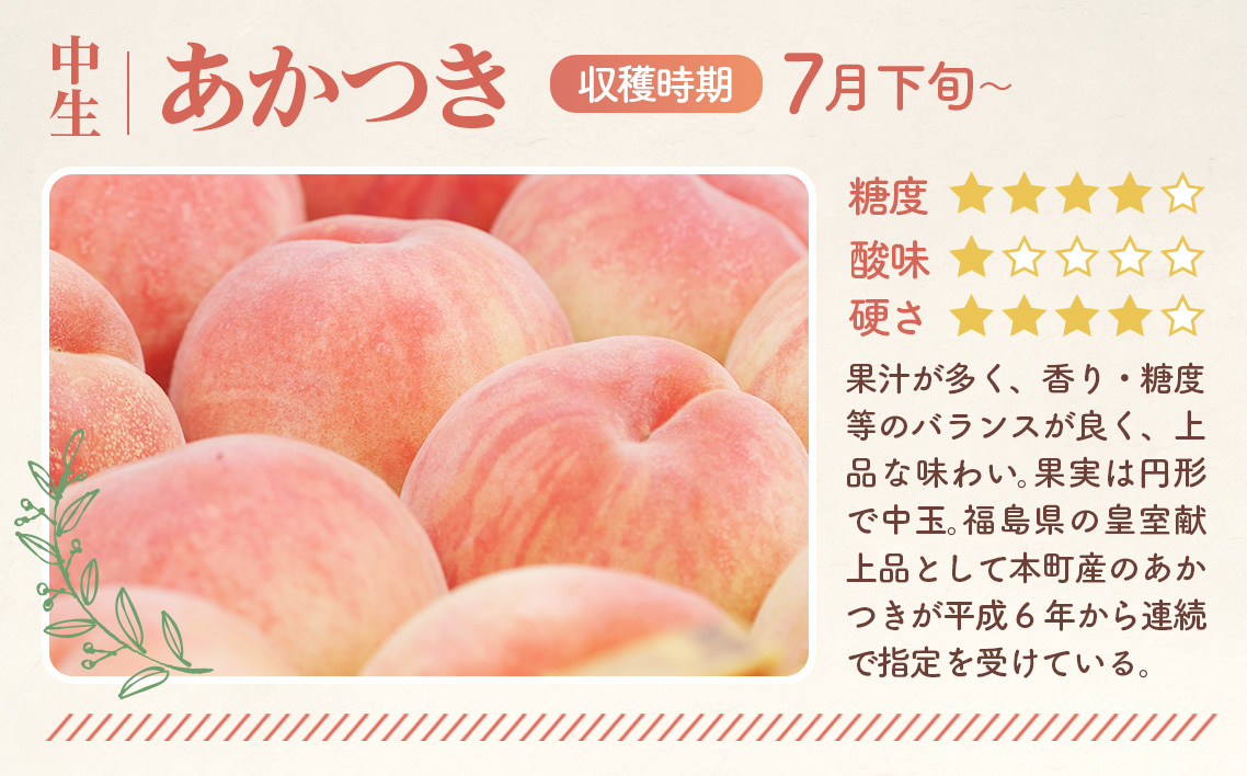 福島県桑折町のふるさと納税 No.099 もも【あかつき・2026年産先行受付】特秀約5kg「献上桃の郷ブランド品」桑折町産　JAふくしま未来　桃