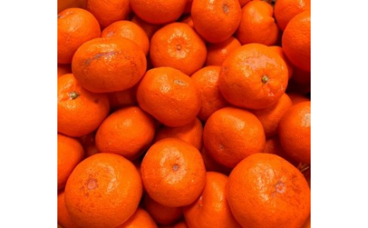 【先行予約】【ご家庭用訳あり】紀州和歌山有田産温州みかん7.5kg◇｜ふるさと納税 ミカン