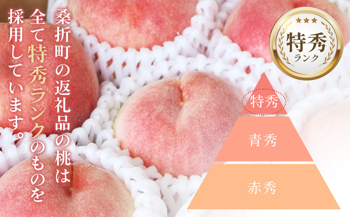 福島県桑折町のふるさと納税 No.138 もも【川中島白桃・2026年産先行受付】特秀1.5kg　桑折町産　JAふくしま未来　桃