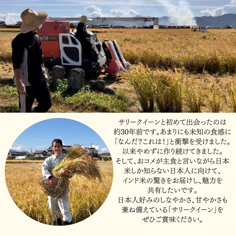 令和7年産 サリークイーン500g×4袋 香り米 米 こめ　