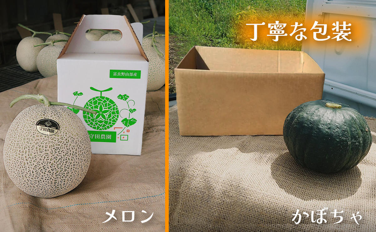 【定期便全2回 夏秋リレー】[2026年7～10月発送] 北海道富良野産 特秀品メロン 2kg1玉×1箱 ＆ 坊ちゃん かぼちゃ 5kg×1箱｜北海道 富良野市 高糖度 メロン 小玉かぼちゃ 濃厚 野菜 果物 フルーツ 贈答用 ギフト