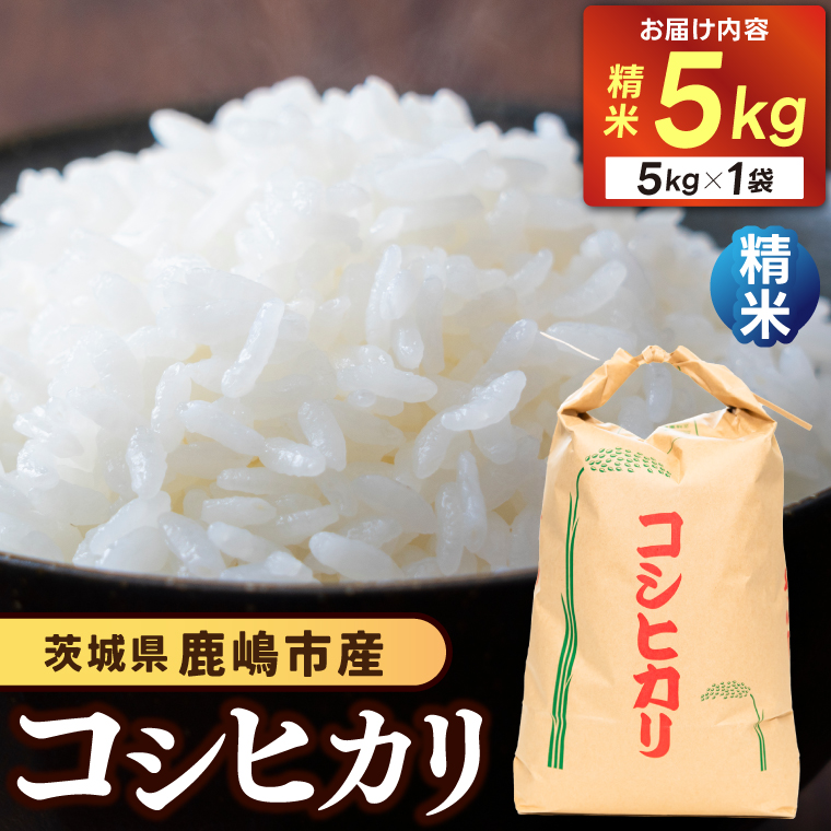 ★先行予約 令和8年産★ 米 コシヒカリ 5kg (精米) 鹿嶋市産【お米 白米 こしひかり 茨城県 鹿嶋市 15000円以内】(KDS-19)