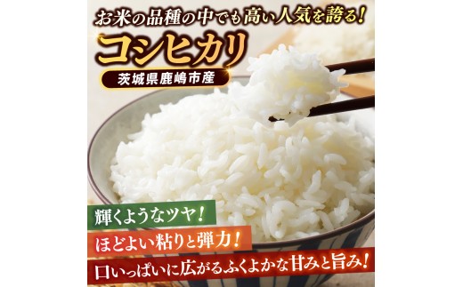 ★先行予約 令和8年産★ 米 コシヒカリ 5kg (精米) 鹿嶋市産【お米 白米 こしひかり 茨城県 鹿嶋市 15000円以内】(KDS-19)