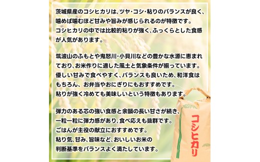★先行予約 令和8年産★ 米 コシヒカリ 5kg (精米) 鹿嶋市産【お米 白米 こしひかり 茨城県 鹿嶋市 15000円以内】(KDS-19)