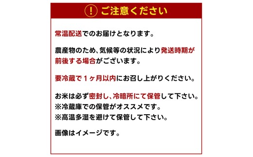 ★先行予約 令和8年産★ 米 コシヒカリ 5kg (精米) 鹿嶋市産【お米 白米 こしひかり 茨城県 鹿嶋市 15000円以内】(KDS-19)
