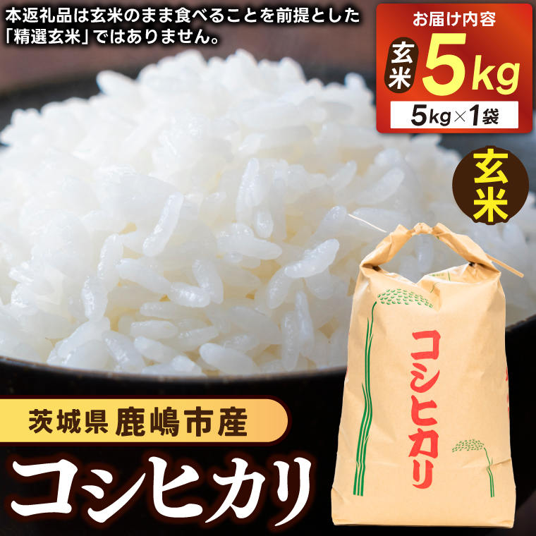 ★先行予約 令和8年産★ 米 コシヒカリ 5kg (玄米) 鹿嶋市産【お米 こしひかり 茨城県 鹿嶋市 15000円以内】 (KDS-26)