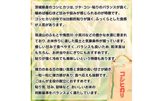 ★先行予約 令和8年産★ 米 コシヒカリ 10kg (玄米) 鹿嶋市産【お米 こしひかり 茨城県 鹿嶋市 30000円以内】(KDS-27)