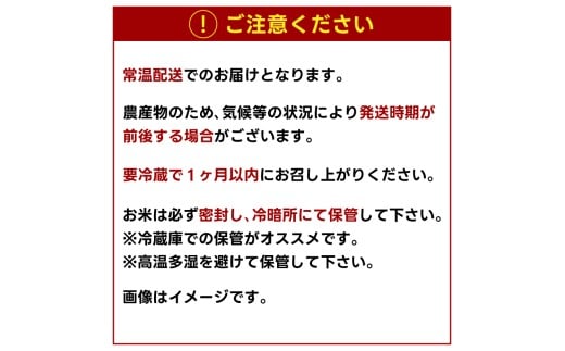 ★先行予約 令和8年産★ 米 コシヒカリ 10kg (玄米) 鹿嶋市産【お米 こしひかり 茨城県 鹿嶋市 30000円以内】(KDS-27)