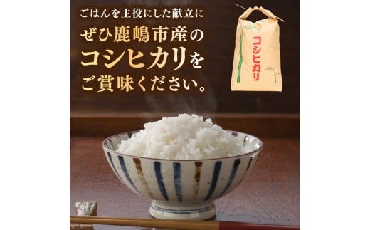 ★先行予約 令和8年産★ 米 コシヒカリ 10kg (玄米) 鹿嶋市産【お米 こしひかり 茨城県 鹿嶋市 30000円以内】(KDS-27)