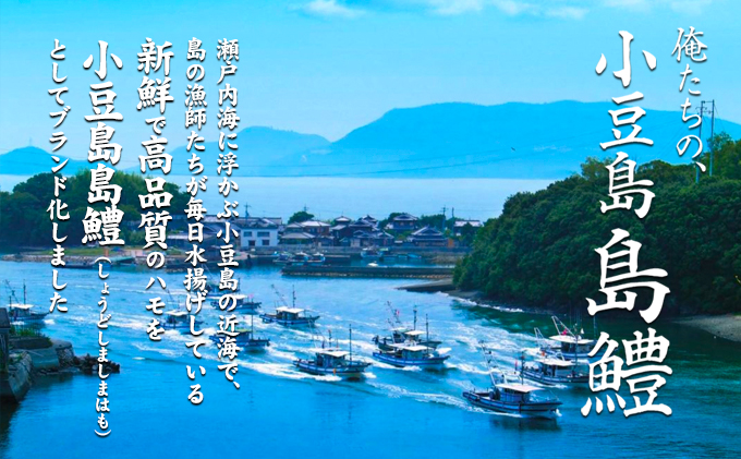 香川県土庄町のふるさと納税 【 小豆島 】『小豆島島鱧』活け締め骨切り瞬間冷凍  新鮮 海の幸 ハモ