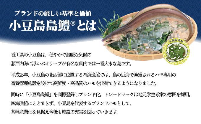 香川県土庄町のふるさと納税 【 小豆島 】『小豆島島鱧』活け締め骨切り瞬間冷凍  新鮮 海の幸 ハモ