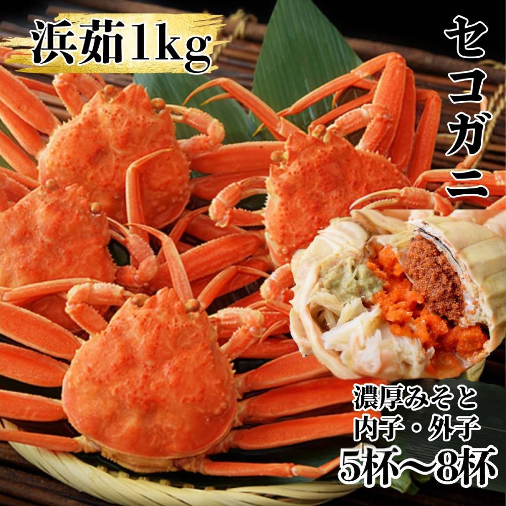 �y�k�C����ʎs�z11-181 �{�C���Z�R�K�j1kg�b �Z�C�R�I �Y���C�K�j���X �q����