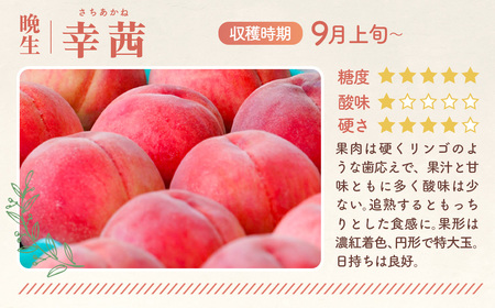 福島県桑折町のふるさと納税 No.140 もも【幸茜・2026年産先行受付】特秀　3kg　桑折町産　JAふくしま未来　桃