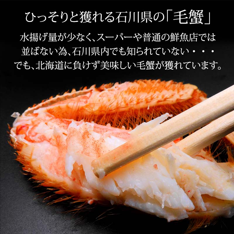 毛ガニ 毛蟹 訳あり 2〜4匹 1.0kg セット 石川県産 茹で蟹 F6P-3033