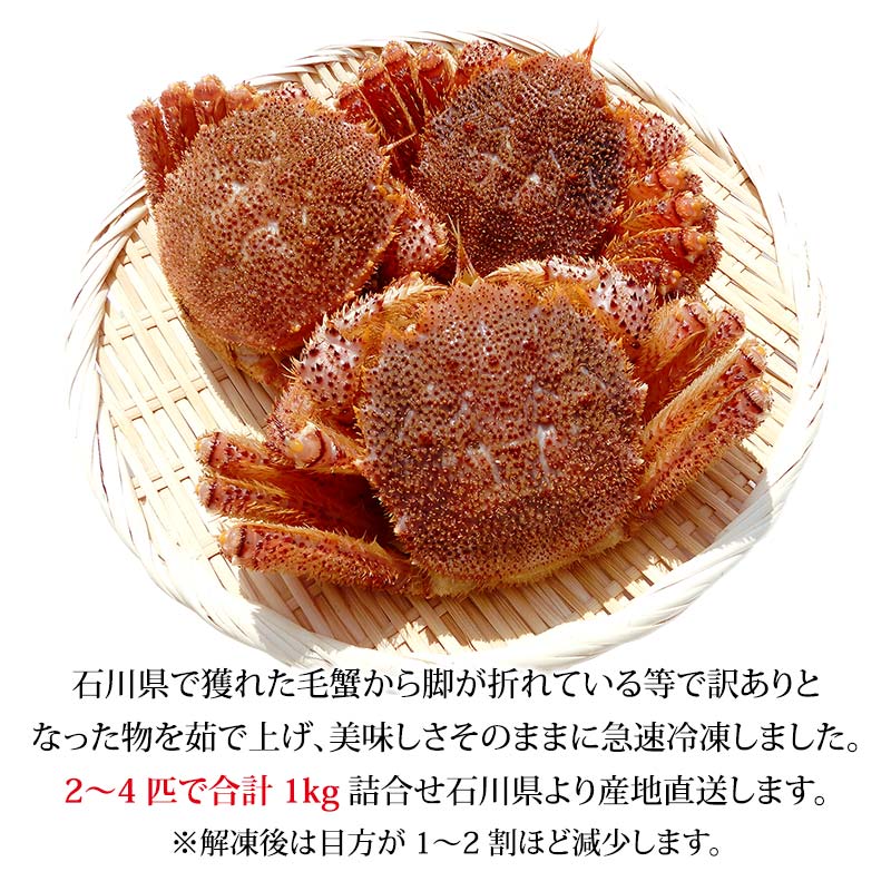 毛ガニ 毛蟹 訳あり 2〜4匹 1.0kg セット 石川県産 茹で蟹 F6P-3033