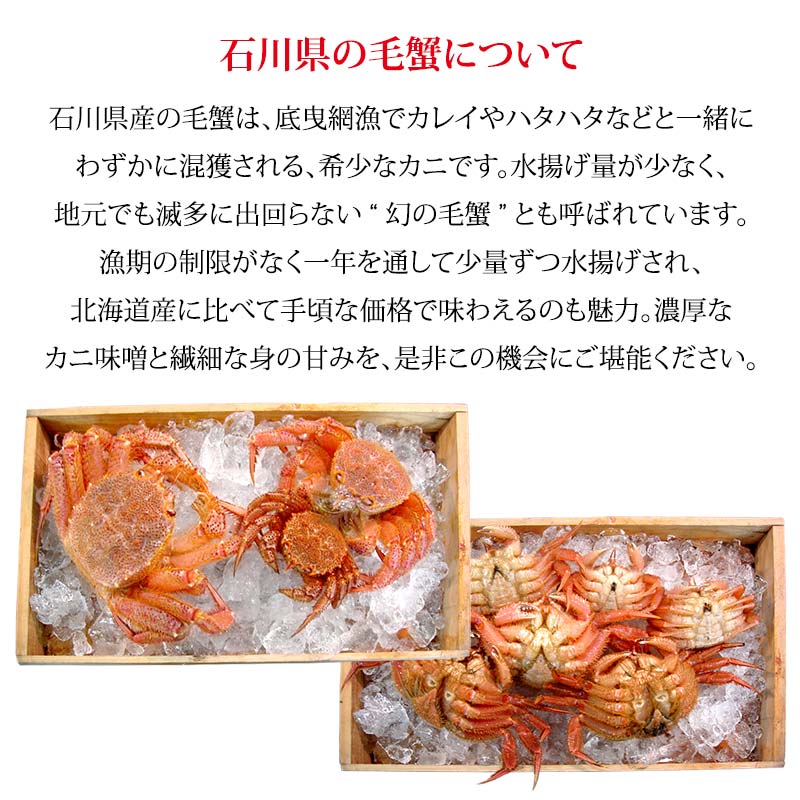 毛ガニ 毛蟹 訳あり 2〜4匹 1.0kg セット 石川県産 茹で蟹 F6P-3033