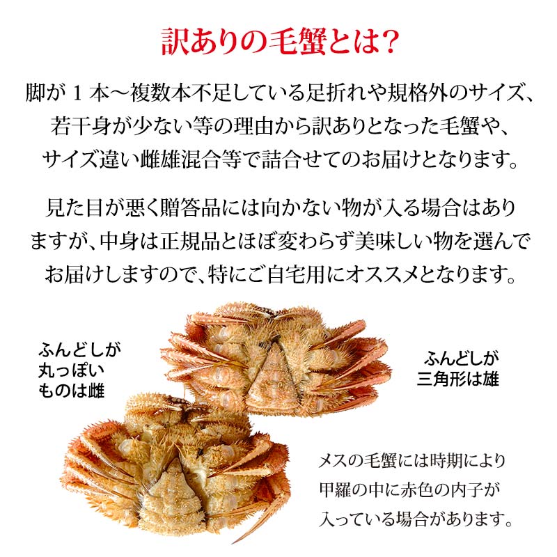 毛ガニ 毛蟹 訳あり 2〜4匹 1.0kg セット 石川県産 茹で蟹 F6P-3033