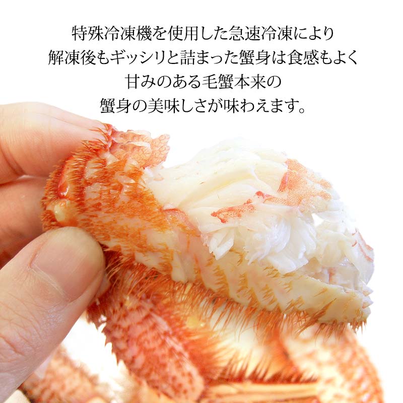 毛ガニ 毛蟹 訳あり 2〜4匹 1.0kg セット 石川県産 茹で蟹 F6P-3033