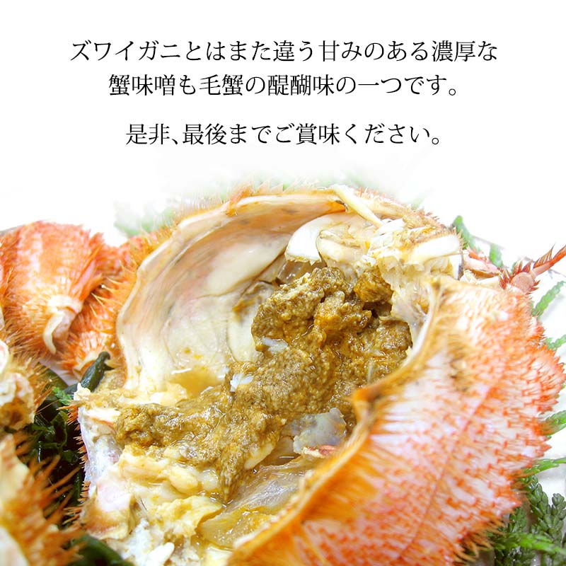 毛ガニ 毛蟹 訳あり 2〜4匹 1.0kg セット 石川県産 茹で蟹 F6P-3033