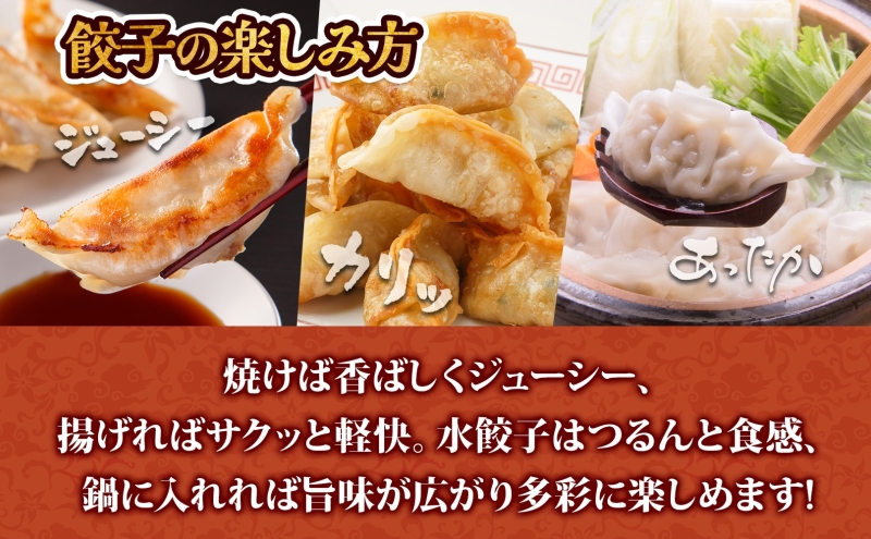 【 ふるさと納税 】楽楽食品 北海道産豚肉の餃子 120個 北海道産 日本産 国産 国産豚肉 豚肉 ポーク ギョウザ ぎょうざ 中華 中華料理 惣菜 お惣菜 おかず 焼き餃子 揚げ餃子 水ギョウザ 水餃子 餃子鍋 アレンジ 簡単調理 お取り寄せ 送料無料 北海道 滝川市