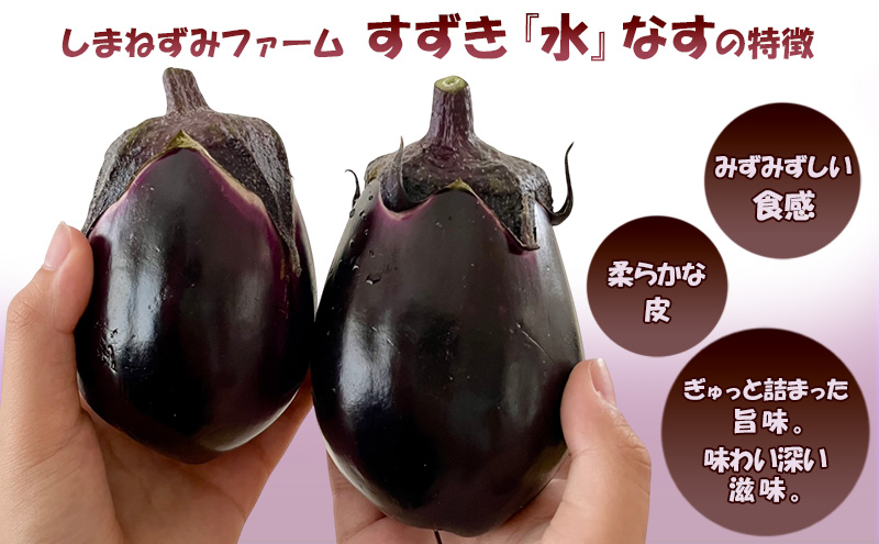 令和8年産】[すずきが育てた新商品！]すずきの水なす 1kg 【プリっと
