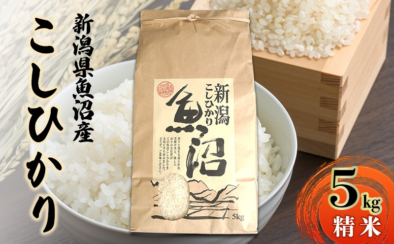 新潟県魚沼産こしひかり5Kg（精米） 米 コシヒカリ 精米 新潟県 十日町市