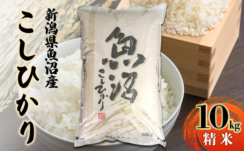 新潟県魚沼産こしひかり10Kg（精米） 米 コシヒカリ 精米 新潟県
