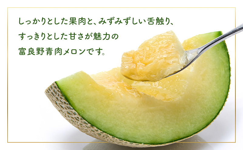 【2026年夏発送】メロン 北海道 富良野メロン 青肉1玉 約2kgサイズ 大玉 北海道 ふらの めろん 果物 フルーツ 甘い ジューシー