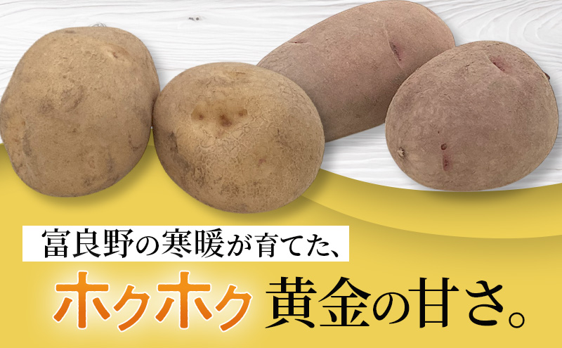 【2026年秋発送】野菜セット ( じゃがいも 玉葱 南瓜 ) 野菜 いも じゃがいも 玉ねぎ かぼちゃ 新鮮 北海道 富良野