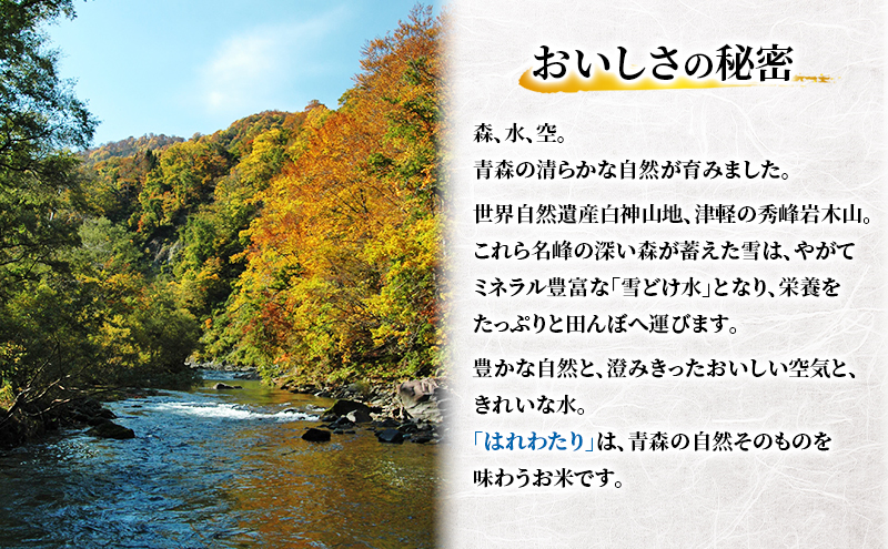 【3ヶ月定期便】【令和8年産新米先行予約】はれわたり 5kg ×3回 計15kg 米 お米 白米 精米 ブランド米 単一原料米 5キロ 青森県産 はれわたり 青森県 鰺ヶ沢町