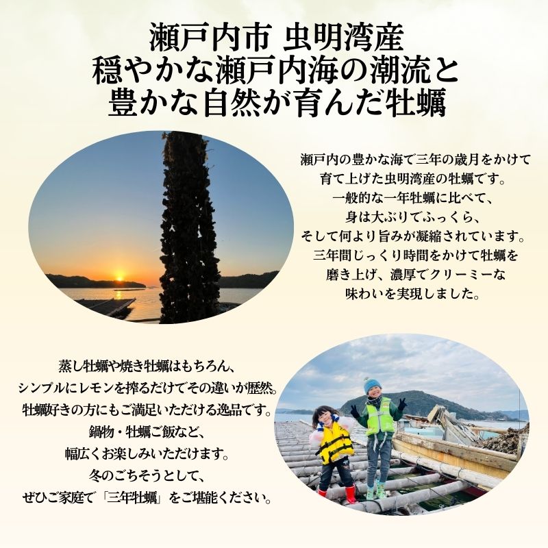 殻付き牡蠣 約5～6kg前後 半缶 【数量限定】2026年先行予約 加熱用