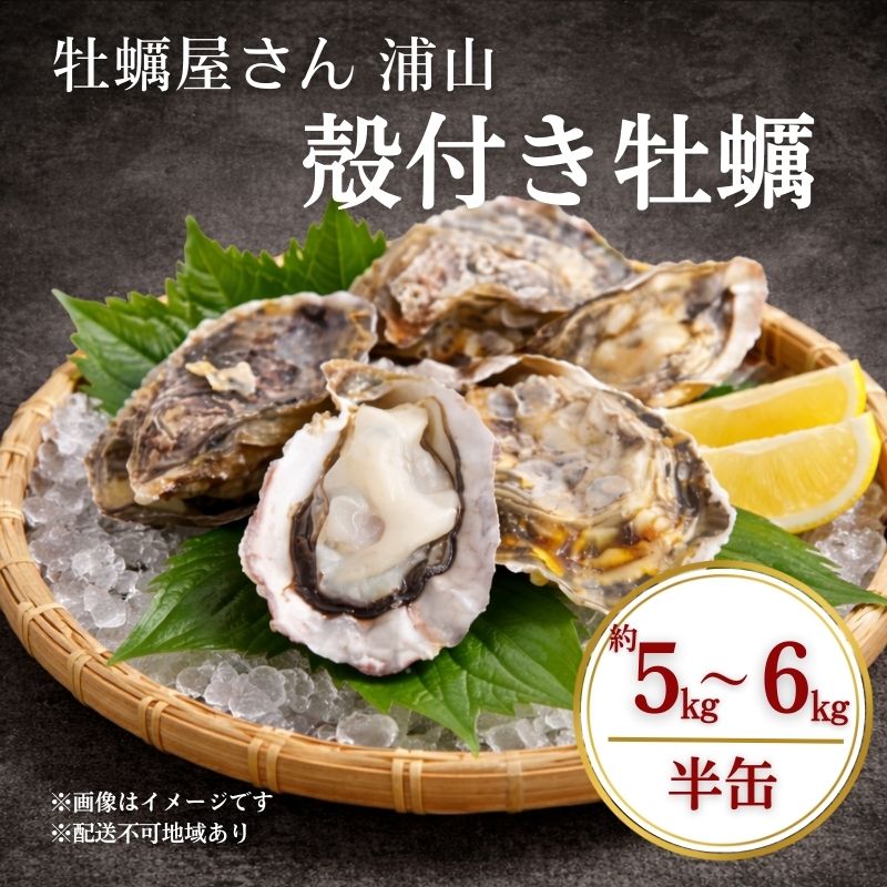 殻付き牡蠣 約5～6kg前後 半缶 【数量限定】2026年先行予約 加熱用