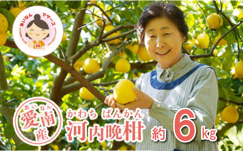 �y���Q�����쒬�z��s�\�� �͓��ӊ� 6kg 10000�~ �݂��� ���킿�΂񂩂� �~�J�� mikan ����S�[���h �����Ȃ� �S�[���h �ƒ�p ���� ������ ���U �O���[�v�t���[�c �a�� �ƒ�p �Y�n���� ���Y �_�ƒ��� ���Ԍ��� ���ʌ��� �r�^�~�� ���Y�i �[���[ �W���[�X �l�C ���� ����₩