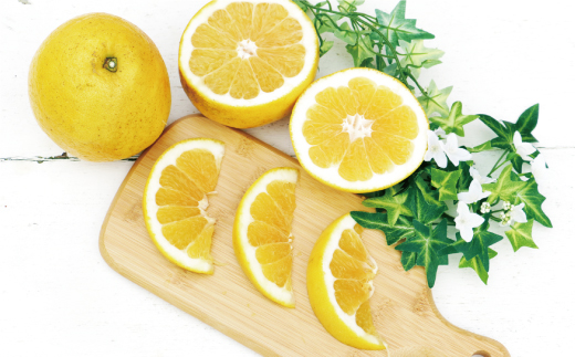 先行予約 河内晩柑 6kg 10000円 みかん かわちばんかん ミカン mikan 愛南ゴールド あいなん ゴールド 家庭用 少量 お試し 文旦 グレープフルーツ 和製 家庭用 産地直送 国産 農家直送 期間限定 数量限定 ビタミン 特産品 ゼリー ジュース 人気 限定 さわやか 甘い フルーツ 果物 柑橘 蜜柑 あいなんマザーズ 愛南町 愛媛県