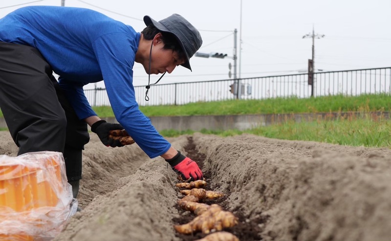 檸檬胡椒　70g　レモン れもん 調味料 スパイス 薬味 京都府 宮津市