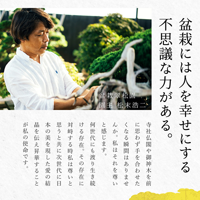 盆栽 翠松園 商品クーポン券 30,000円分 植物 観葉植物 園芸 商品券 兵庫県