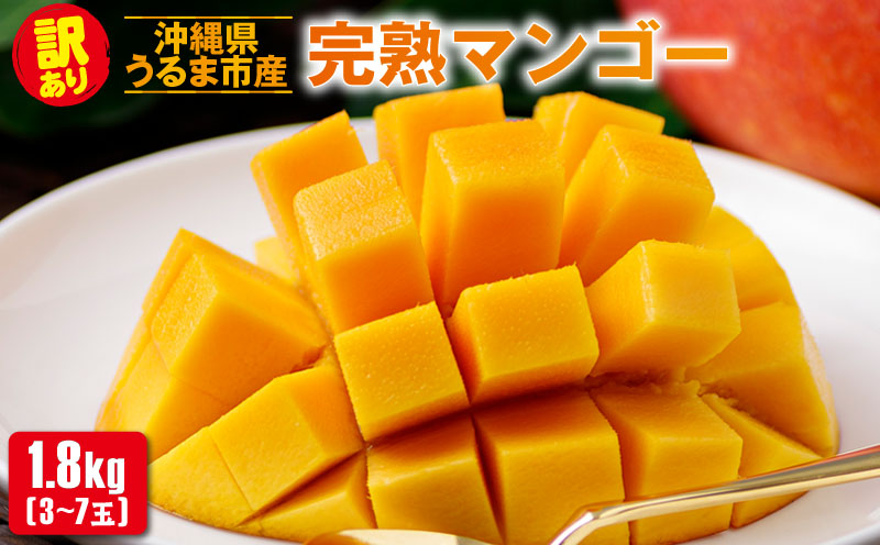 沖縄県 うるま市産 完熟 マンゴー 訳あり品  1.8kg【2026年発送】
