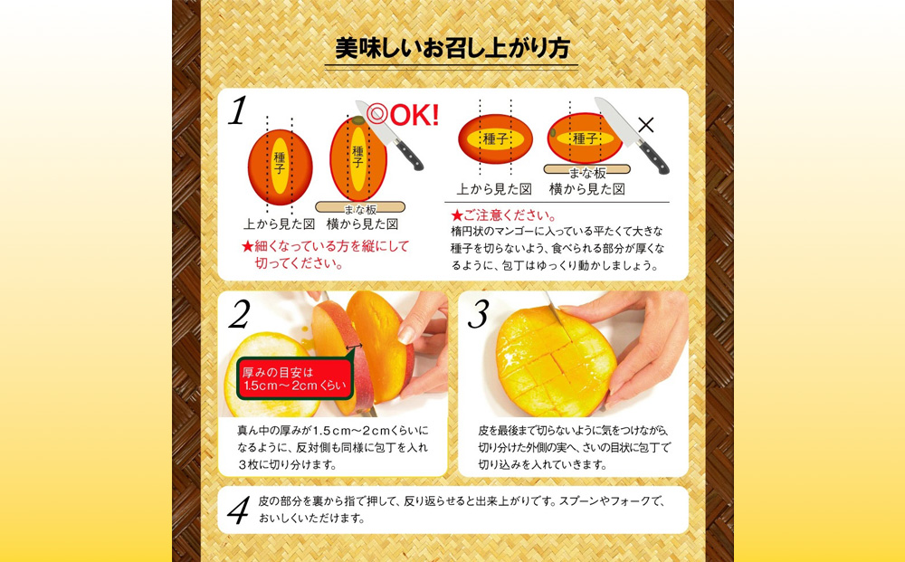 沖縄県 うるま市産 完熟 マンゴー 訳あり品  1.8kg【2026年発送】