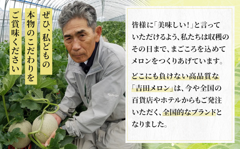 【2026年8月下旬より発送】北海道 富良野 メロン 赤肉 2玉 計約3.6kg メロン フルーツ 果物 新鮮 甘い 贈り物 ギフト 道産 ジューシー おやつ ふらの ブランド 夏  (吉田農園)