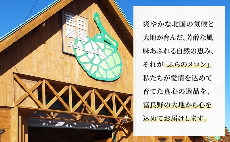 【2026年8月下旬より発送】北海道 富良野 メロン 赤肉 約2.1kg×1玉 (吉田農園) メロン フルーツ 果物 新鮮 甘い 贈り物 ギフト 道産 ジューシー おやつ ふらの ブランド 夏