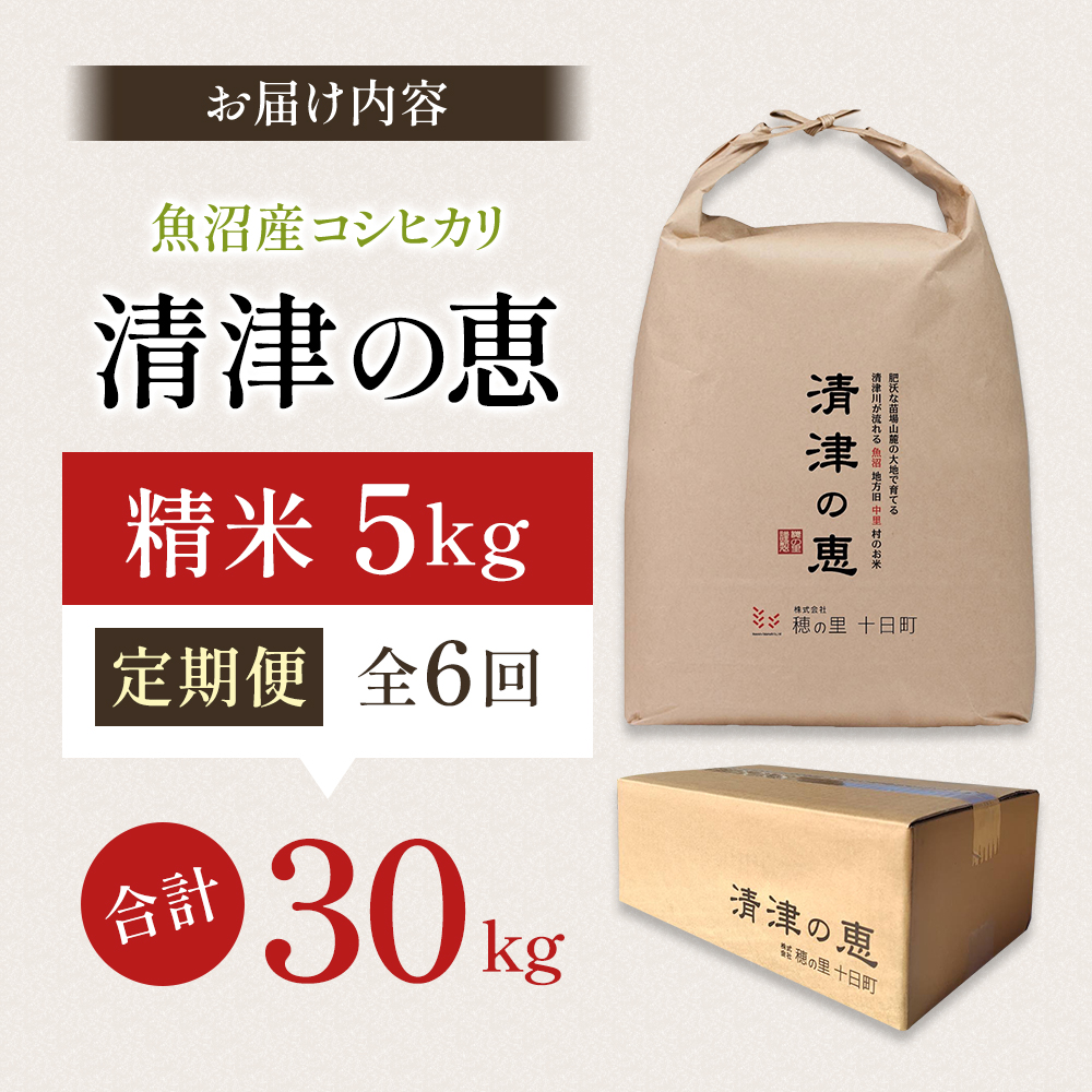【通年受付】令和7年産魚沼産特別栽培米コシヒカリ［清津の恵］精米5kg　全6回 十日町市 十日町 米