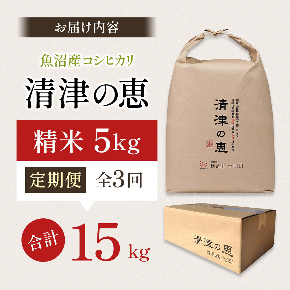 【通年受付】令和7年産魚沼産特別栽培米コシヒカリ［清津の恵］精米5kg　全3回 十日町市 十日町 米