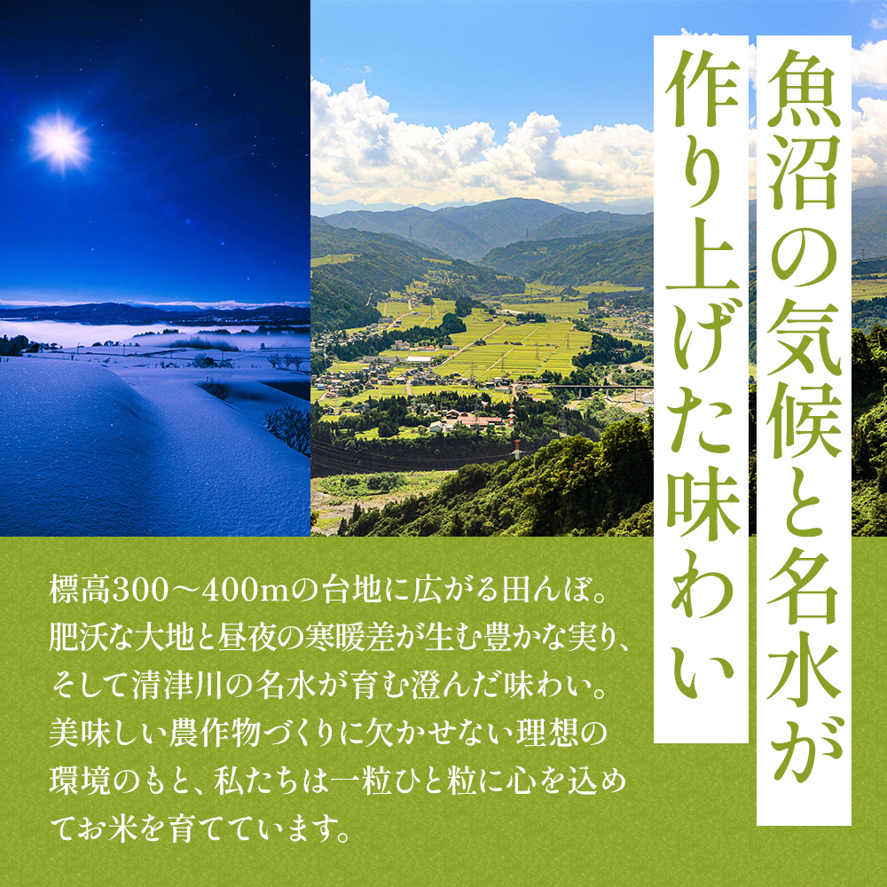【通年受付】令和7年産魚沼産特別栽培米コシヒカリ［清津の恵］精米5kg　全3回 十日町市 十日町 米