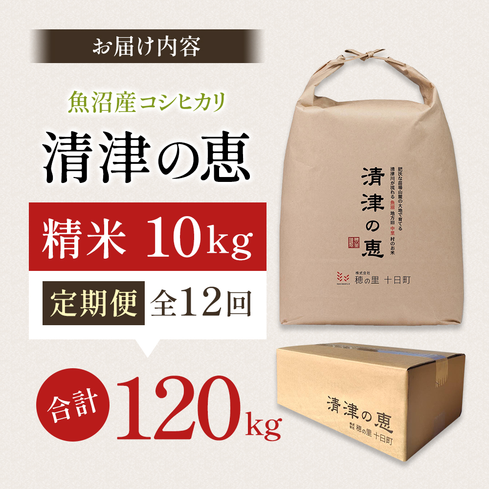 定期便 12ヶ月 コシヒカリ 清津の恵 10kg 米 白米 お米 魚沼産コシヒカリ 新潟米 新潟 十日町市 定期 12回