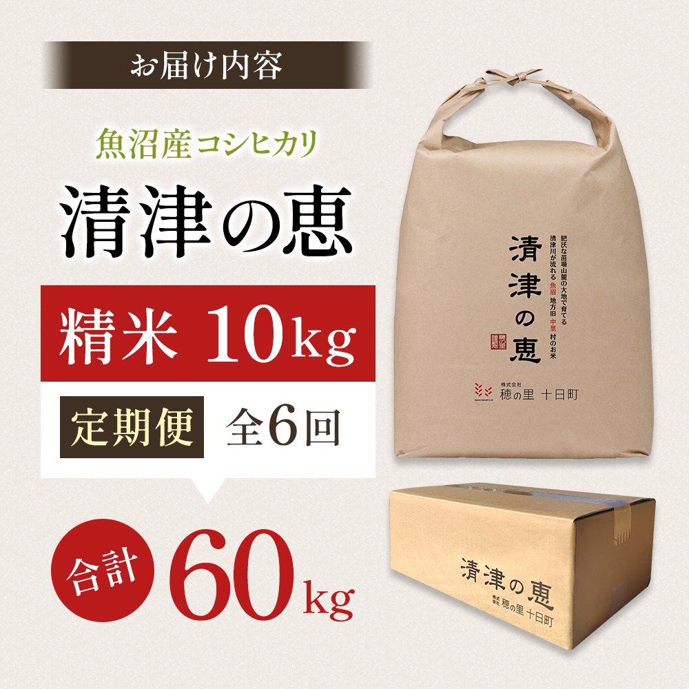 【通年受付】令和7年産魚沼産特別栽培米コシヒカリ［清津の恵］精米10kg（5kgx２袋）全6回 十日町市 十日町 米