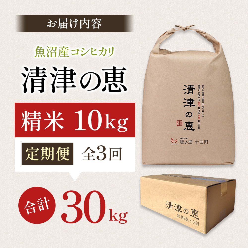 【通年受付】令和7年産魚沼産特別栽培米コシヒカリ［清津の恵］精米10kg（5kgx２袋）全3回 十日町市 十日町 米