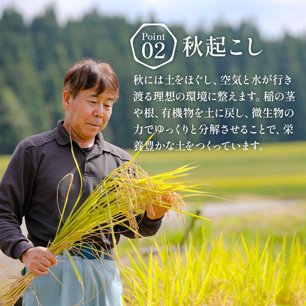 【通年受付】令和7年産魚沼産特別栽培米コシヒカリ［清津の恵］精米10kg（5kgx２袋）全3回 十日町市 十日町 米